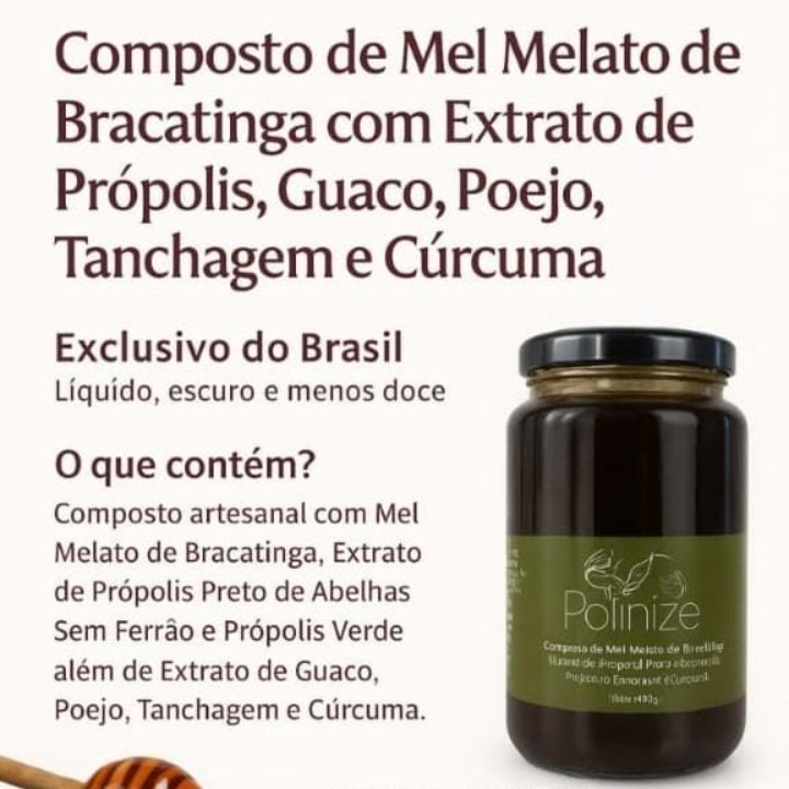 Composto de Mel Melato de Bracatinga da marca Polinize